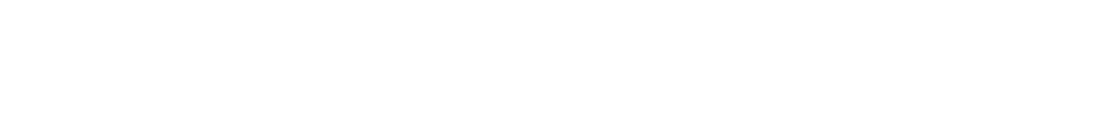 Darkshield Logo